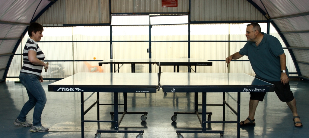 Rishal and Fainzilber. ping-pong